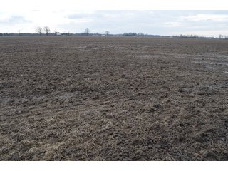 Property photo 20 - 173 +/- Acres Offered in 3 Tracts - Ohio Farmland
